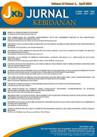 Image of Jurnal Kebidanan
